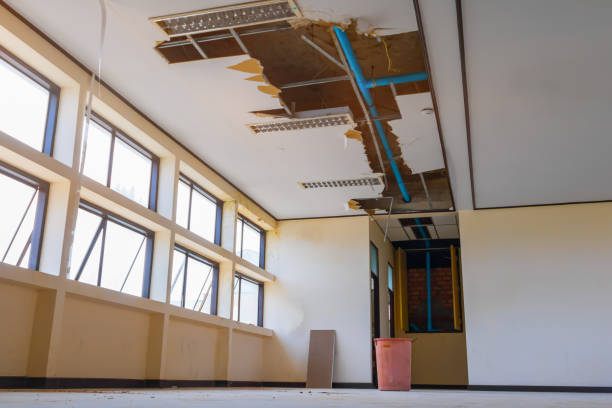 Best Flooded house restoration  in Flowood, MS