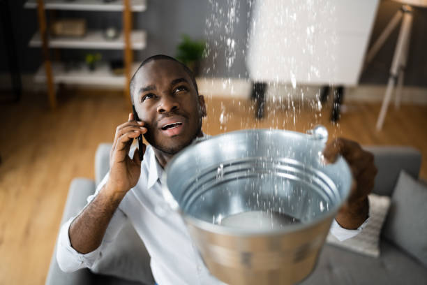 Best Water damage contractors near me  in Flowood, MS