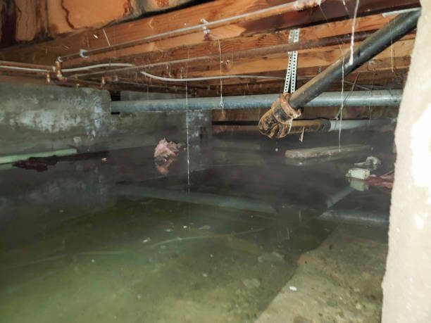Best Water damage restoration near me  in Flowood, MS
