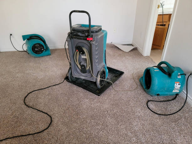 Best Emergency water damage restoration  in Flowood, MS