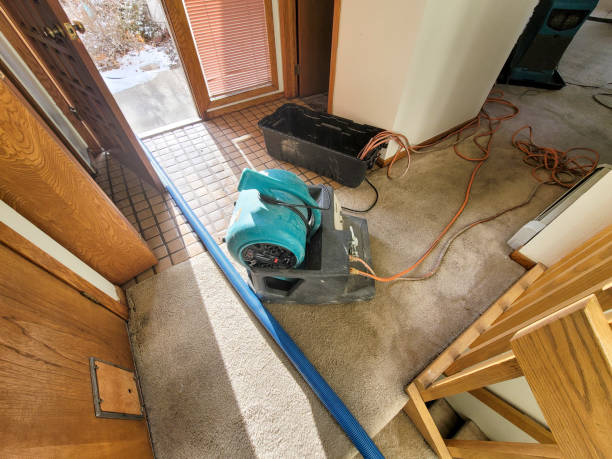 Best Flood damage cleanup  in Flowood, MS