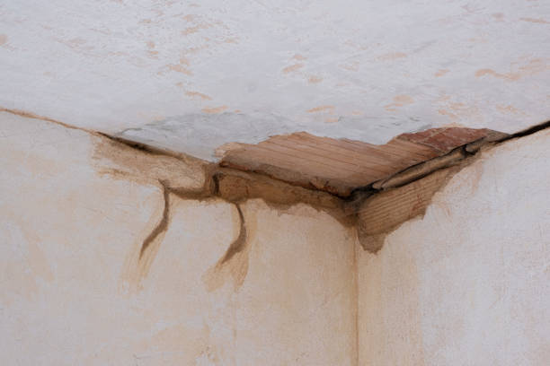 Best Water damage restoration insurance claims  in Flowood, MS