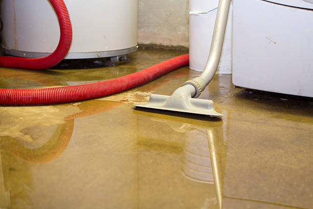 Best Carpet water damage restoration  in Flowood, MS
