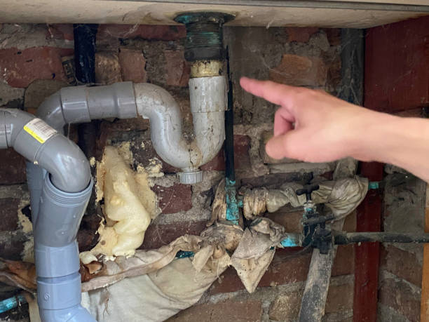 Best Flood restoration services  in Flowood, MS