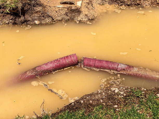 Best 24/7 water damage repair  in Flowood, MS