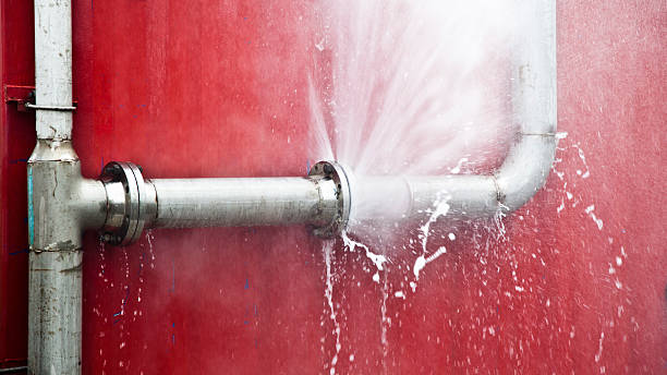 Best Basement water damage restoration  in Flowood, MS
